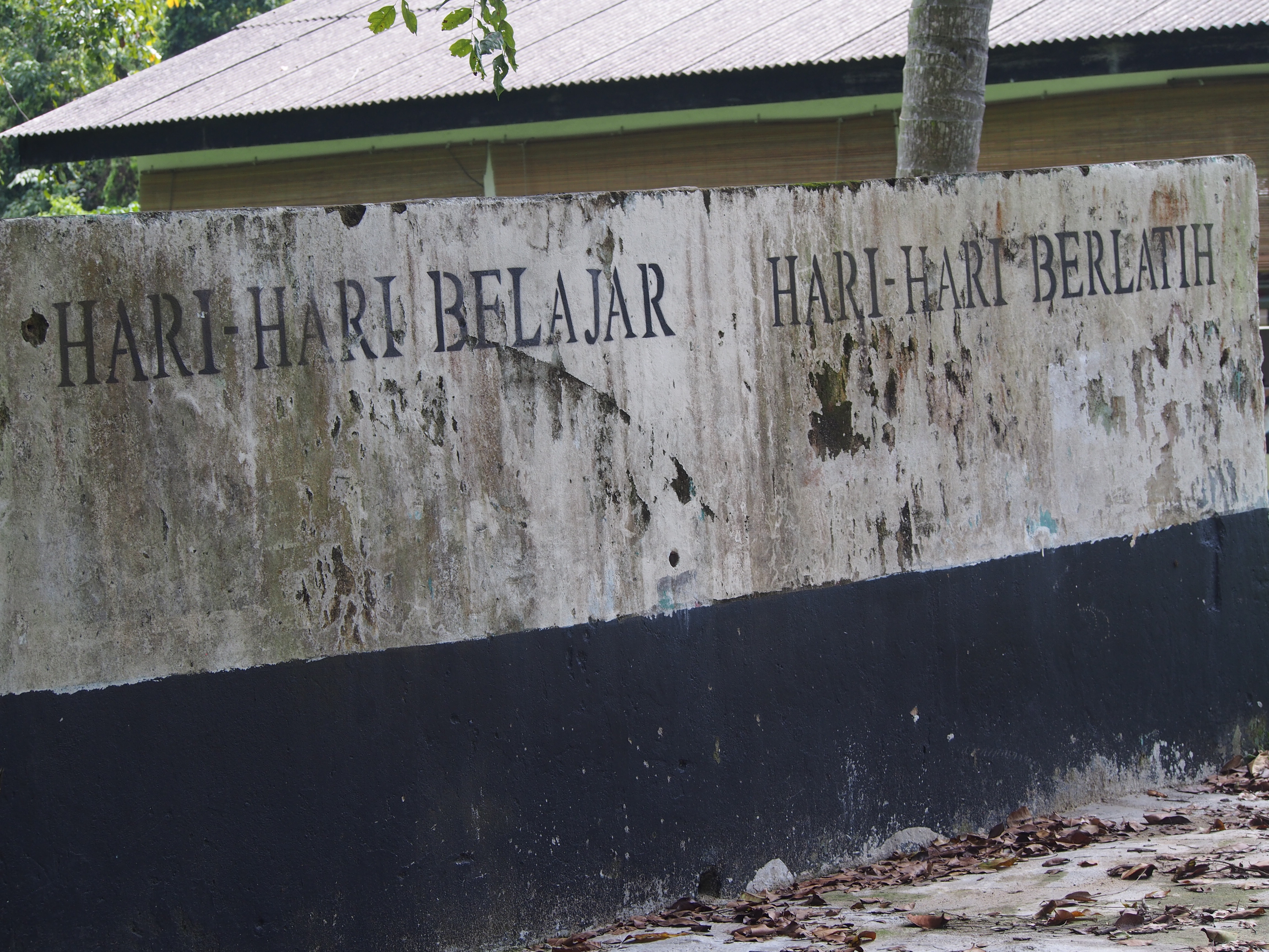 Rojak Daily/Nur Afiqah Words to live by.